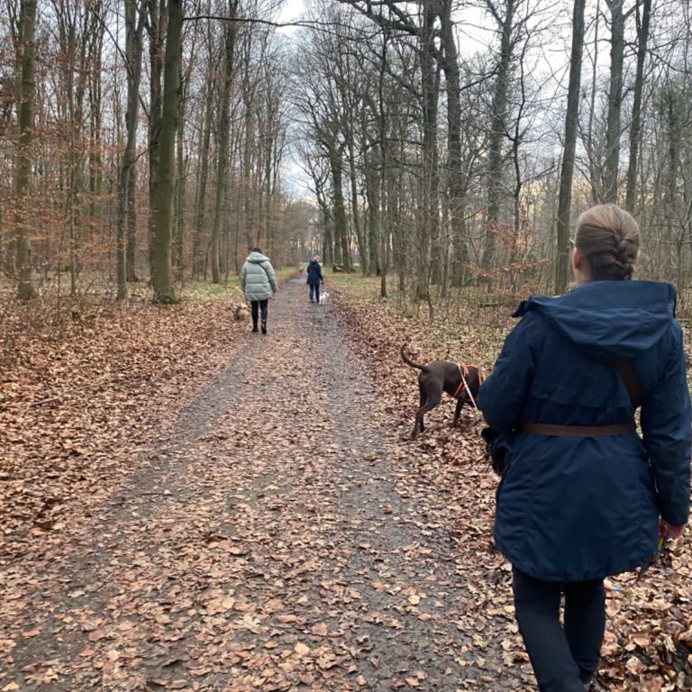 Social Walk